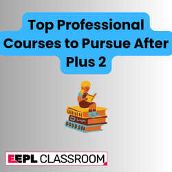 Top Professional Courses to Pursue After Plus 2